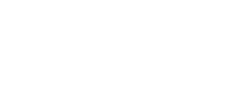 VivaNotes